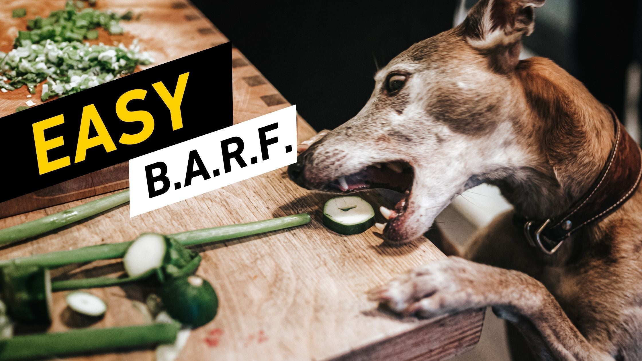 Wie funktioniert Barfen einfach?