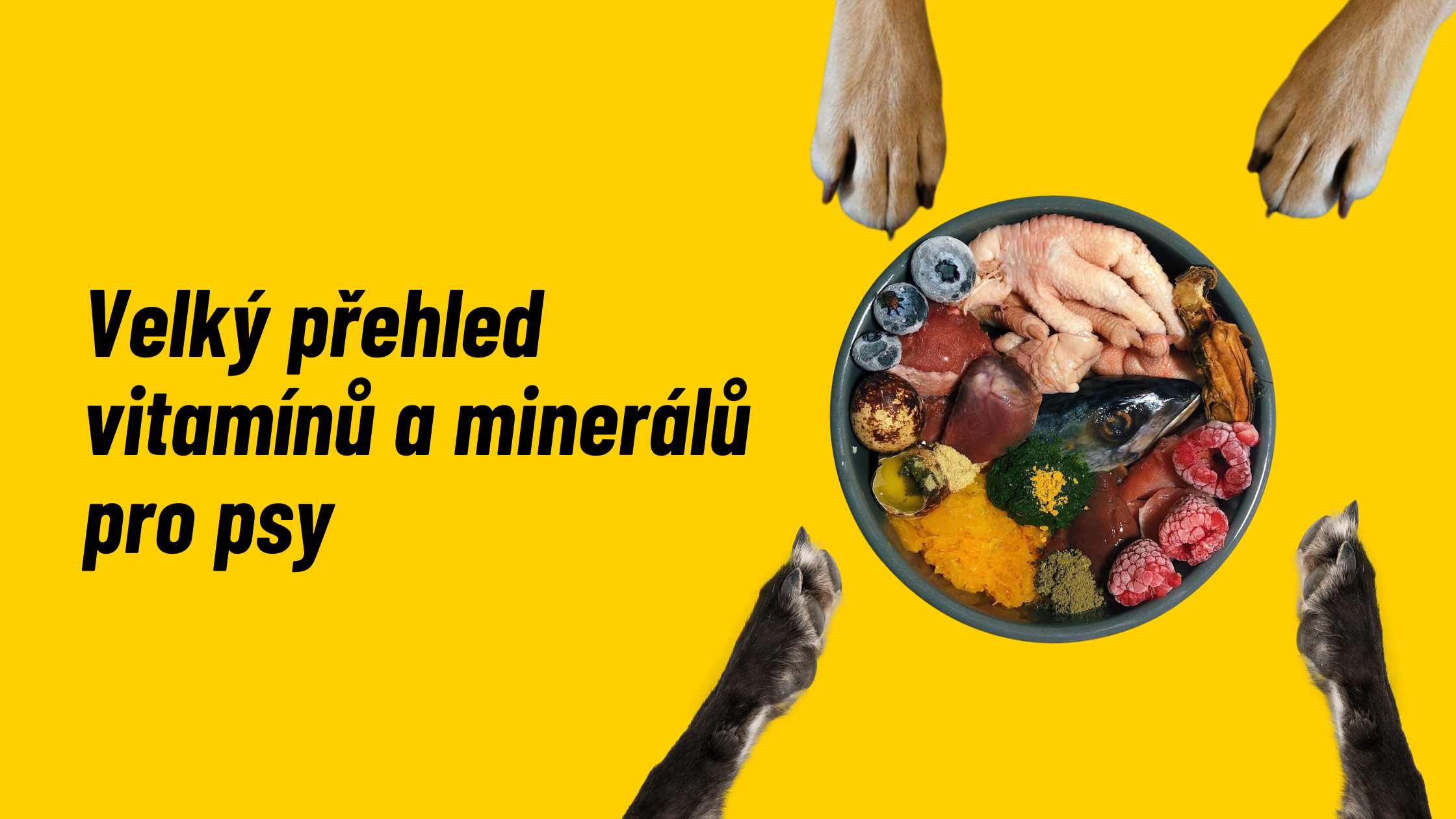 Eine große Übersicht über Vitamine und Mineralstoffe für Hunde
