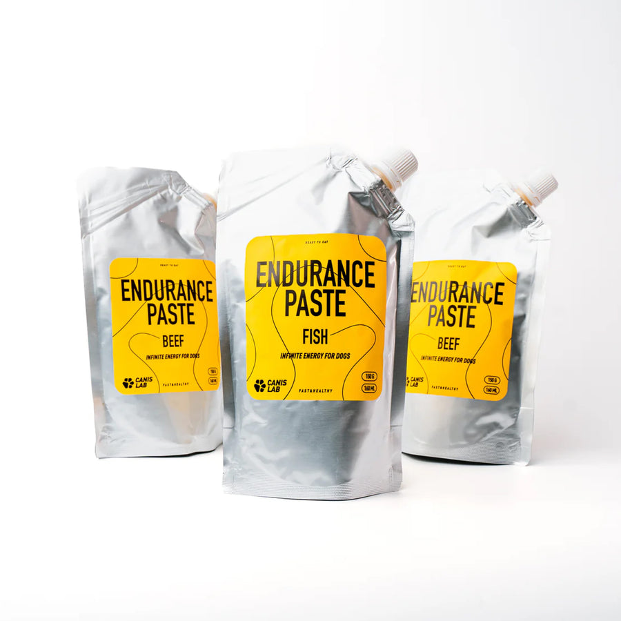 Endurance Paste | Endlose Energie für Hunde
