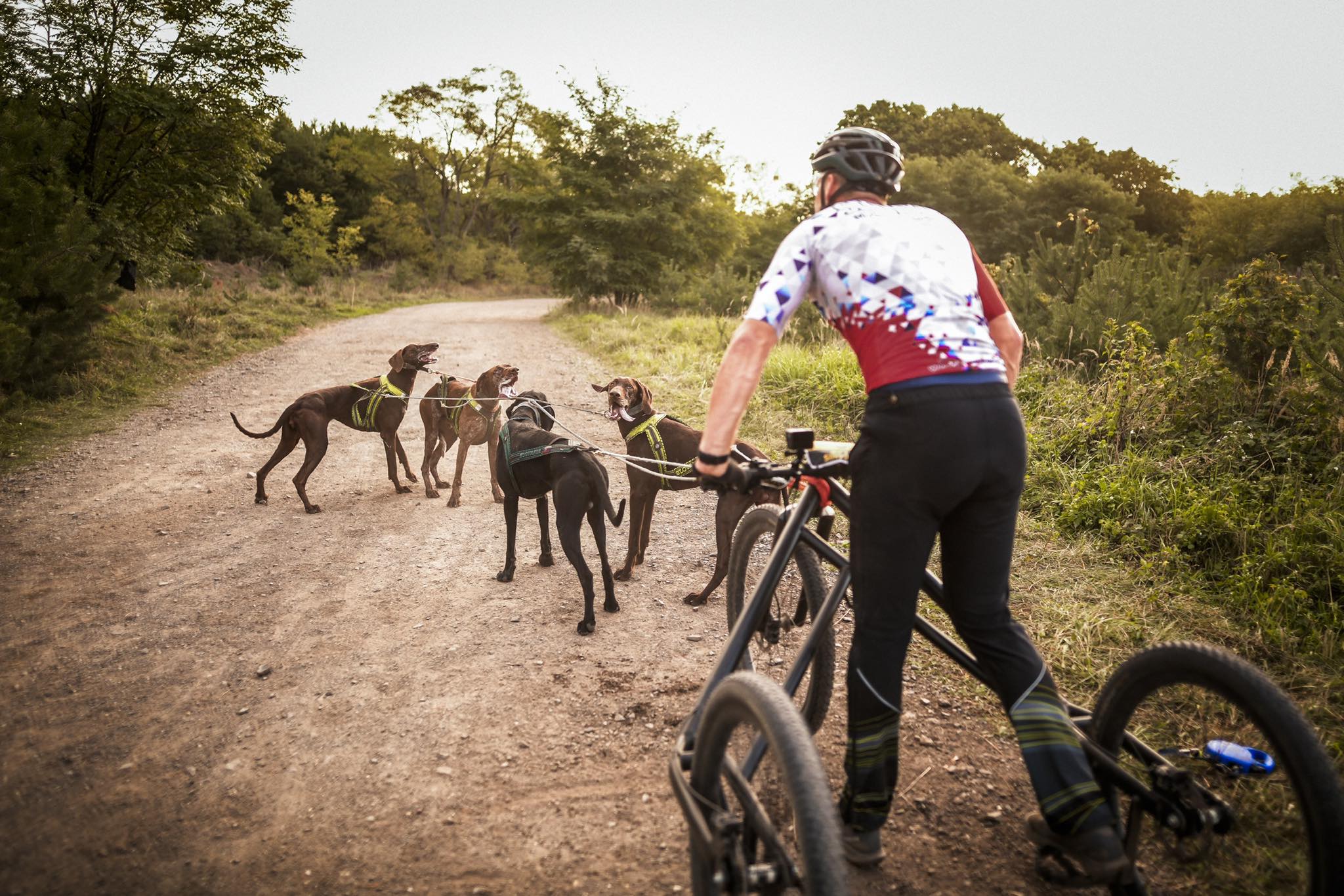 Tschechen und Slowaken an der Weltspitze im Hundesport