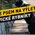 Kam se psem na výlet kousek od Prahy: Okolo Hostivických rybníků