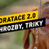 Psí hydratace 2.0: Mýty, skryté hrozby a triky, o kterých vám veterinář neřekl