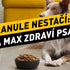 Jen granule nestačí: Jak na maximální zdraví psa