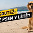 Letní soutěž: Kam se psem v létě k vodě a do stínu?