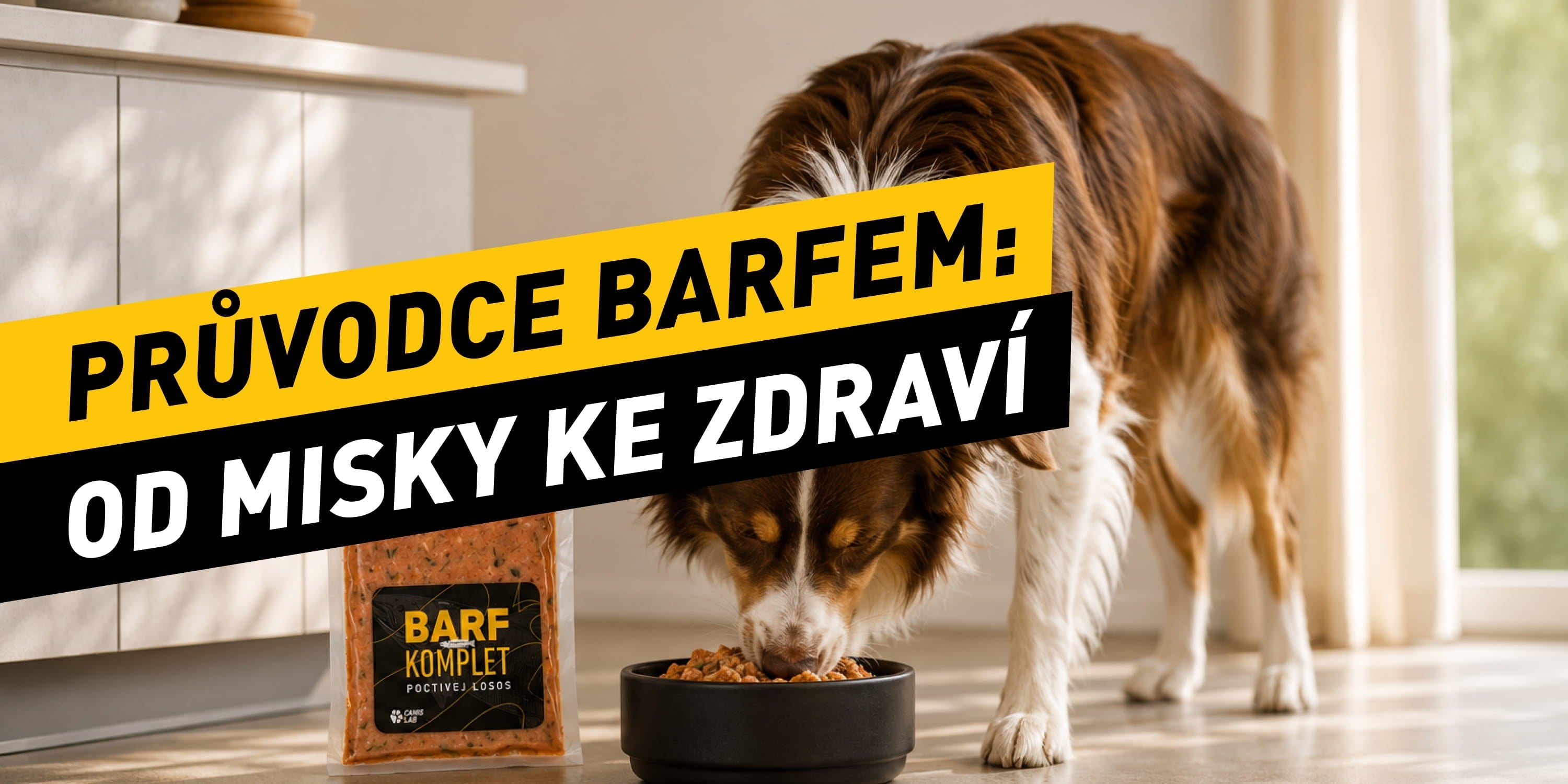 Průvodce BARFem: Od prvního krmení po spokojeného psa