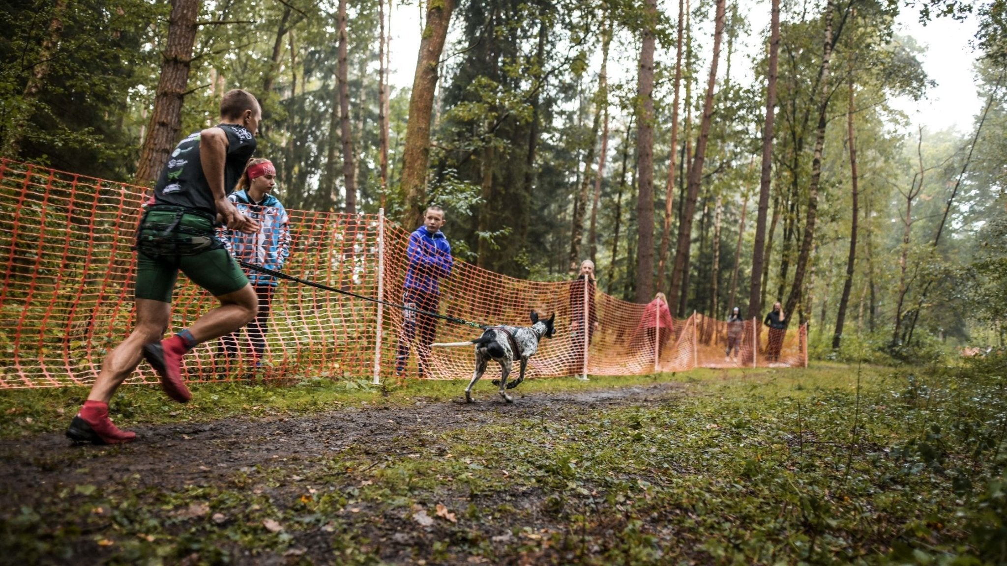 Canicross oder Laufen mit Hund