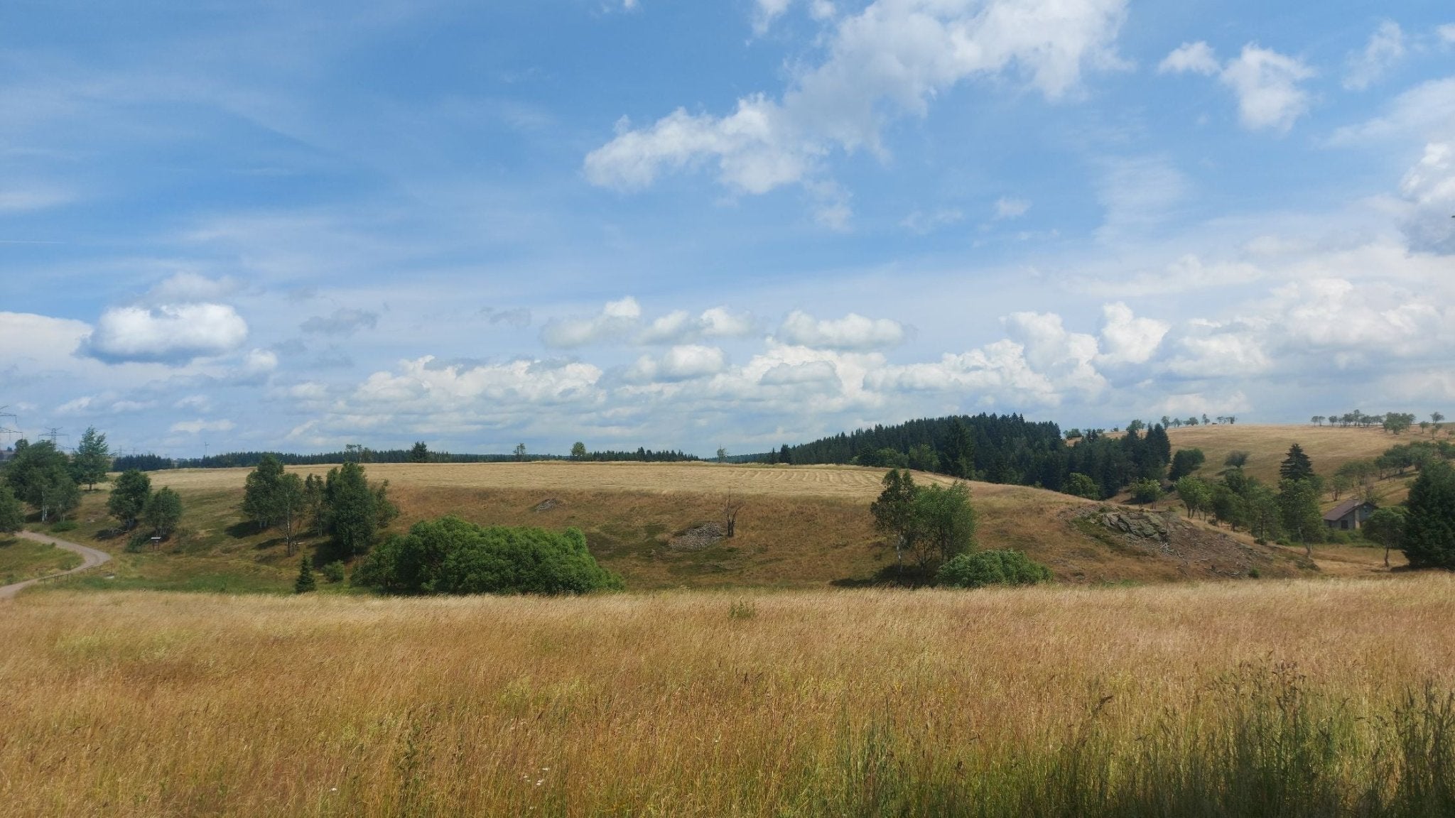 Ausflugsziele mit Hund: Erzgebirge (20 km)