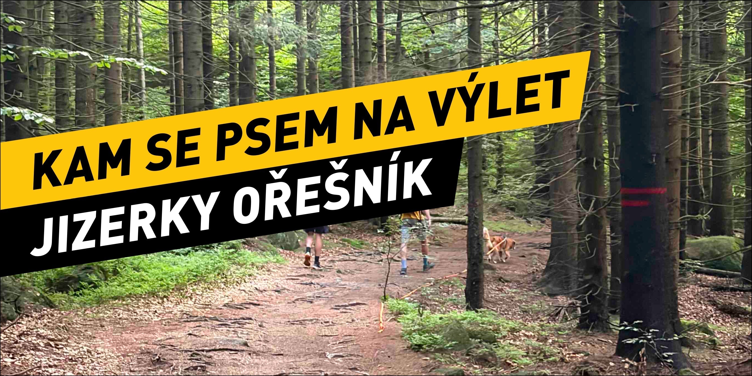 Kam se psem na výlet v Jizerkách - Velký Ořešník
