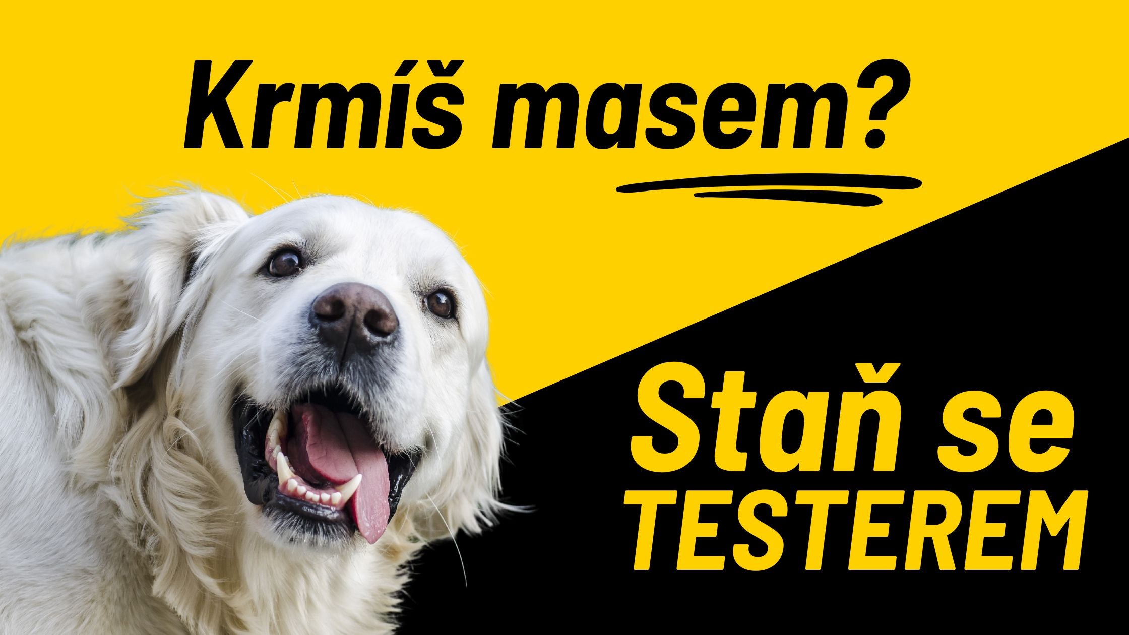 Neue BARF-Aufsätze: Werden Sie Tester!