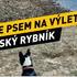 Kam za stínem a koupáním v Praze