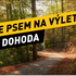 Kam na výlet se psem v Olomouckém kraji