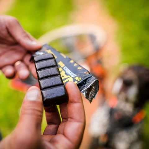 Proteinriegel für Hunde NAP | Recovery