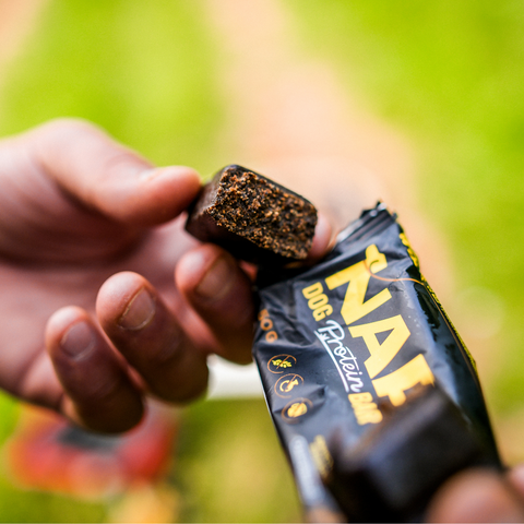 Proteinriegel für Hunde NAP | Recovery