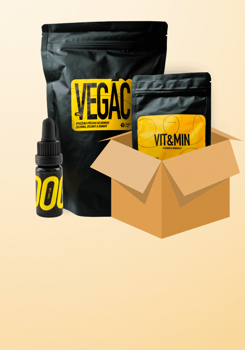 Letní čistka skladů:-20% na vybrané produkty