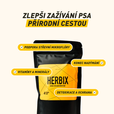 Herbix | Eine Kräutermischung für eine bessere Verdauung des Hundes