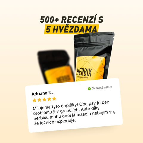 Herbix | Eine Kräutermischung für eine bessere Verdauung des Hundes