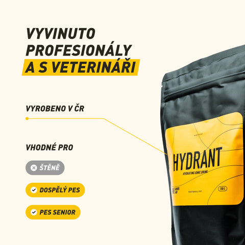 Hydrant | Feuchtigkeitsspendendes ionisches Getränk für Hunde | 200 g