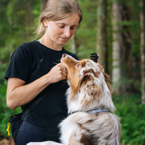 Proteinriegel für Hunde NAP | Recovery