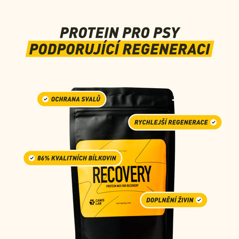 Recovery | Proteinmischung zur Regeneration von Hunden
