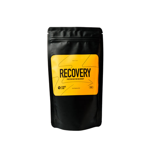 Recovery | Proteinmischung zur Regeneration von Hunden