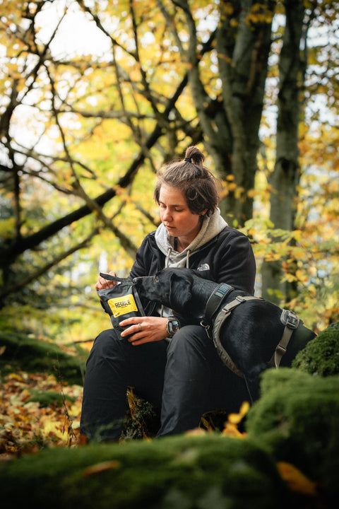 Dog trainer giving her black labrador Regule dog treats