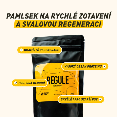 REGULE | Protein-Leckerbissen für Hunde | 200 g