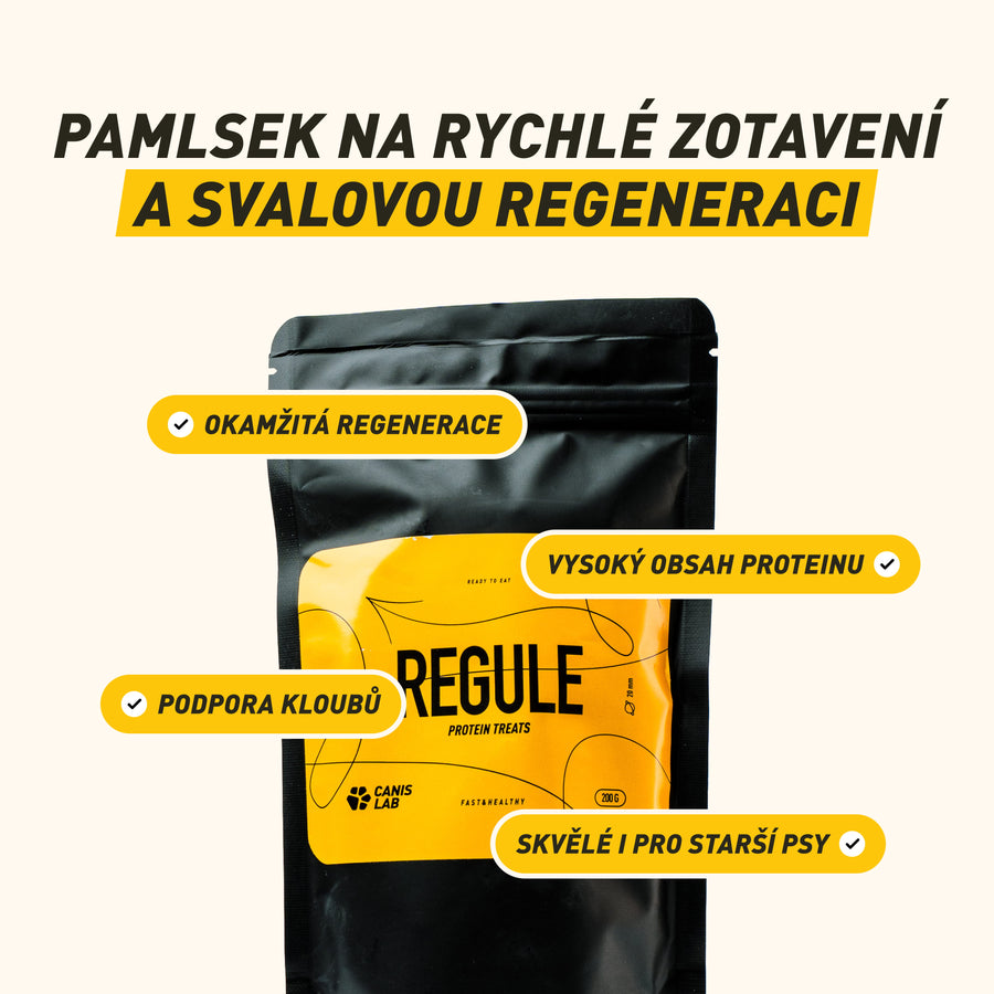 REGULE | Protein-Leckerbissen für Hunde | 200 g