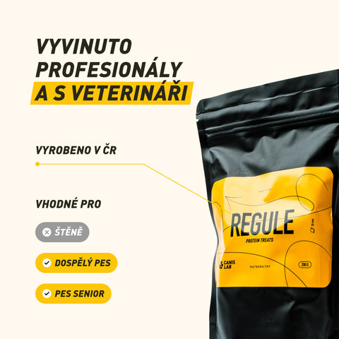 REGULE | Protein-Leckerbissen für Hunde | 200 g