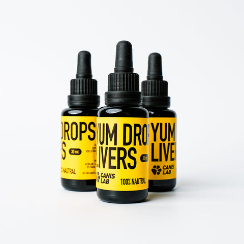 Yum Drops | Futteraroma